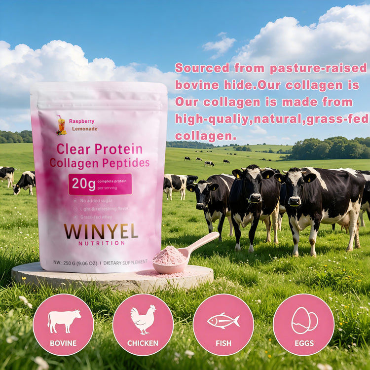 WINYEL Nutrition Clear Protein Collagen Peptides, Raspberry Lemonade, 20g Protein, Zero Sugar, Grass-Fed Whey, 250g by DigestWell Co.