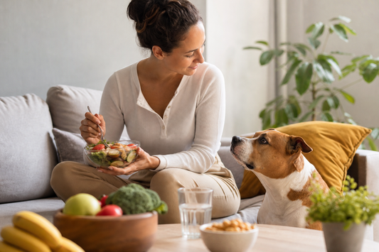 Why Your Gut Health Affects Your Pet's Wellness Too