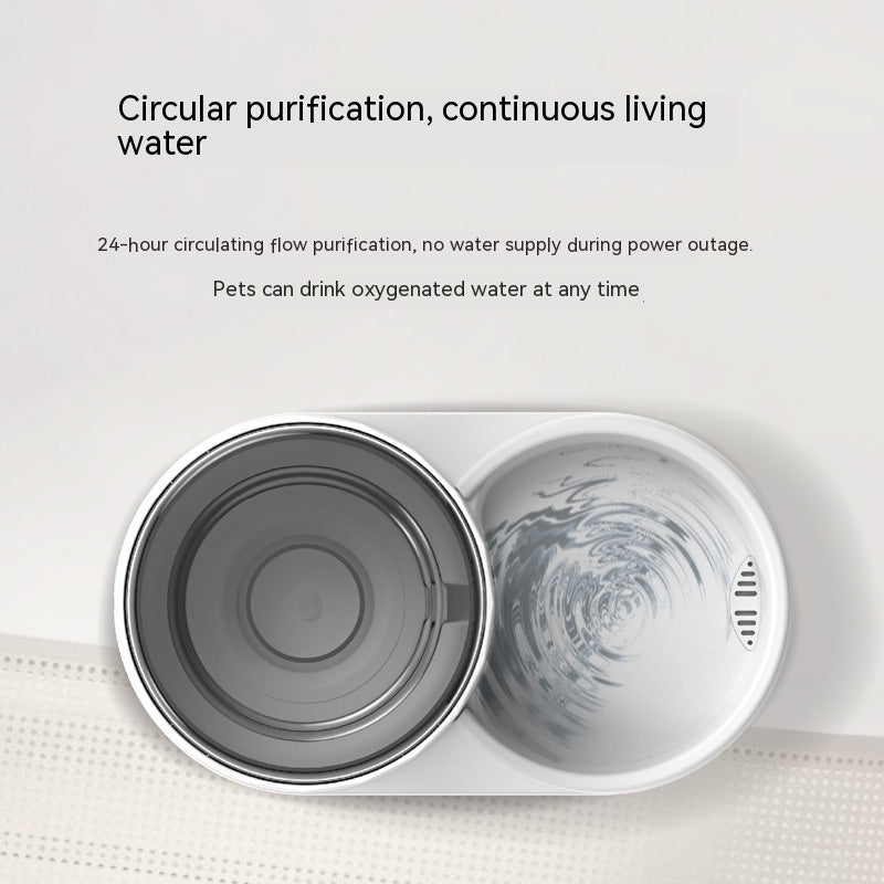 Cat Water Fountain Automatic Pet Feeder by DigestWell Co.