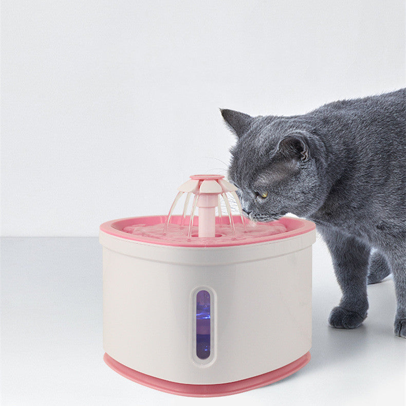 Automatic Pet Water Fountain With LED Electric USB by DigestWell Co.