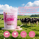 WINYEL Nutrition Clear Protein Collagen Peptides, Raspberry Lemonade, 20g Protein, Zero Sugar, Grass-Fed Whey, 250g by DigestWell Co.