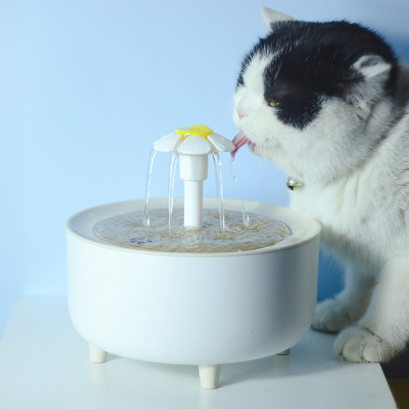 Household Automatic Circulating Filtration Pet Water Fountain by DigestWell Co.