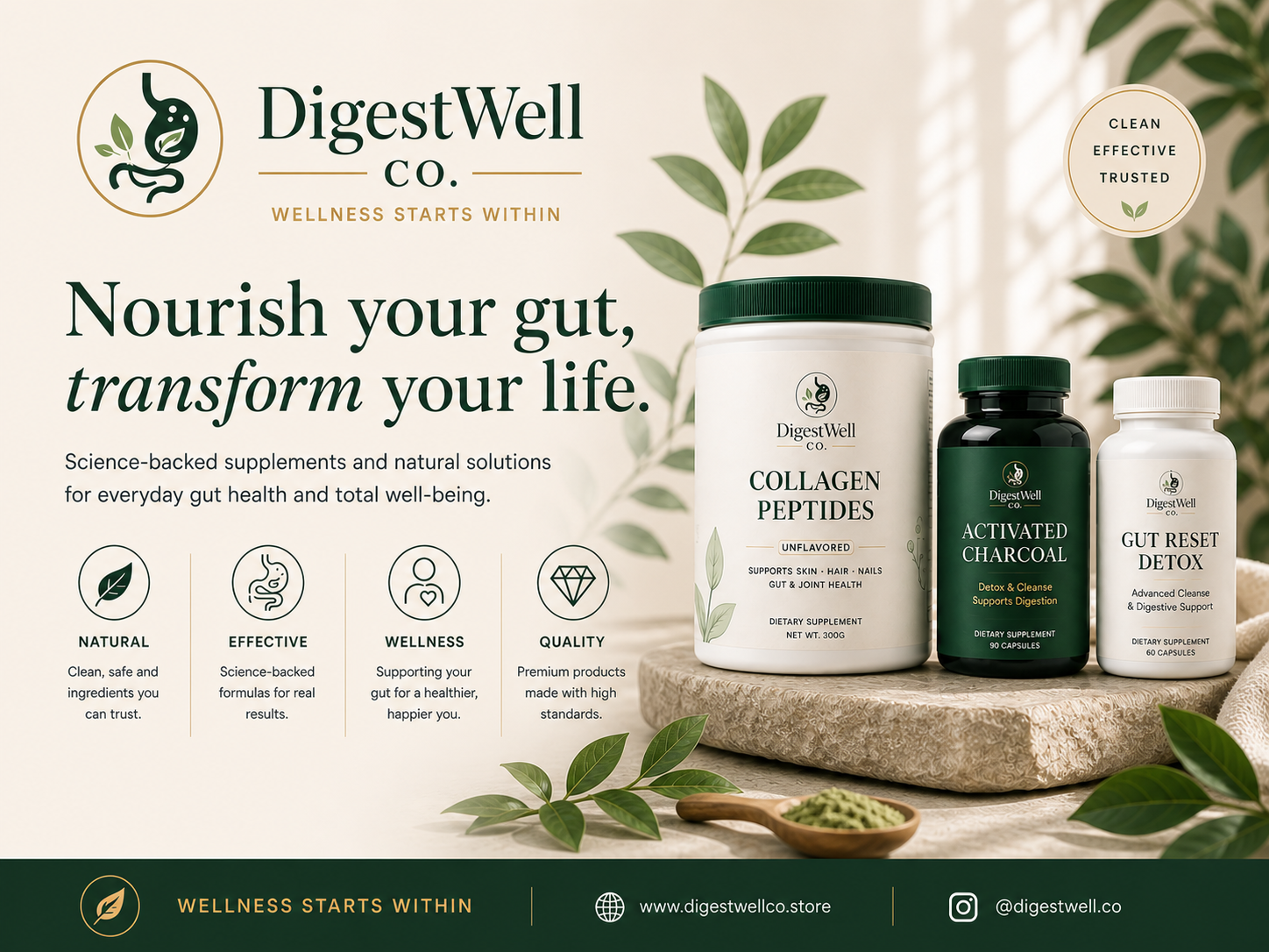 DigestWell Co. wellness products with text and branding elements on a light background.