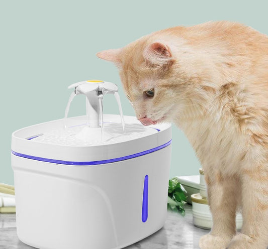 The New Pet Automatic Drinking Fountain Cats And Dogs Drinking Water Basin by DigestWell Co.